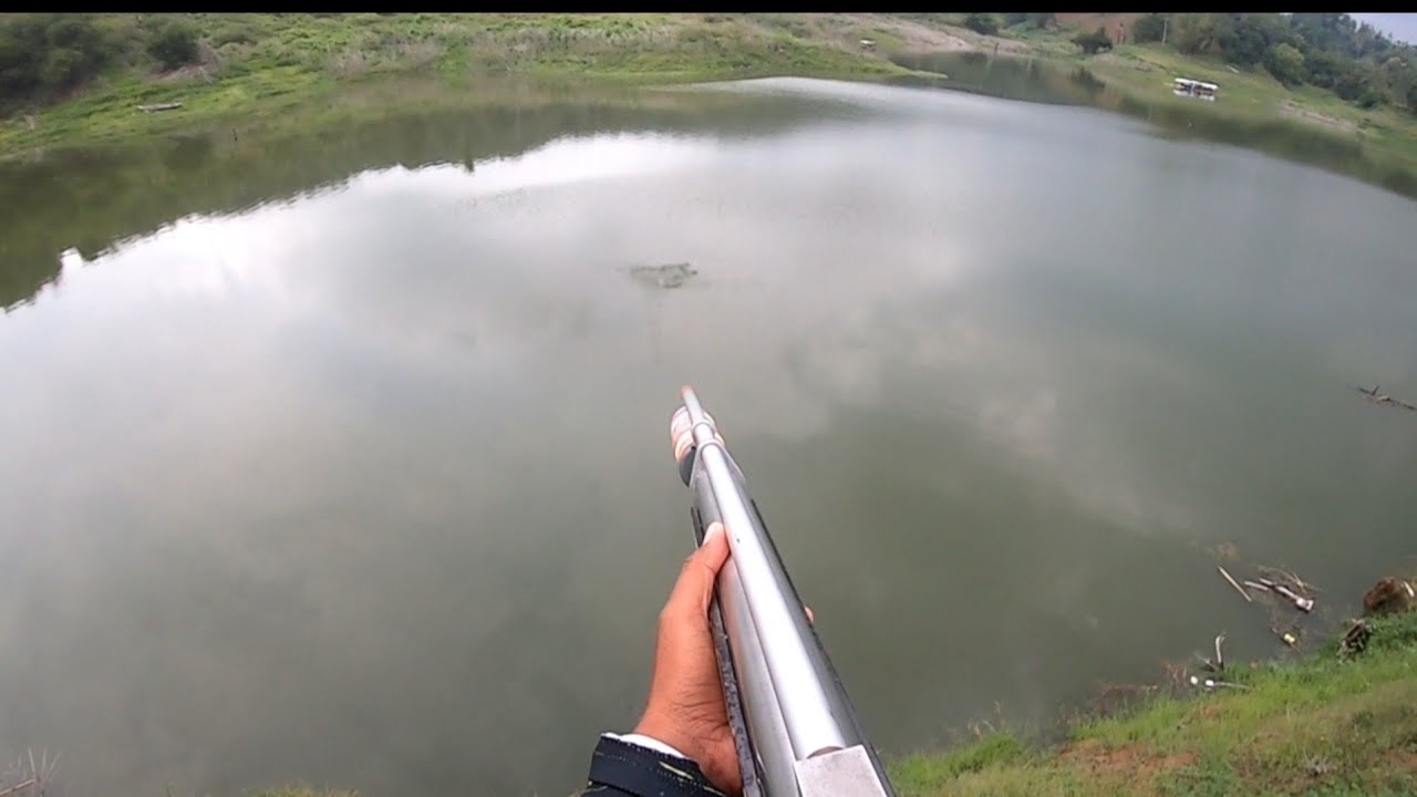 Mengerikan Sekali Tempat ini Dari Jauh ikan Terlihat Selengan Bayi Begitu Naik Ternyata ikan Monster