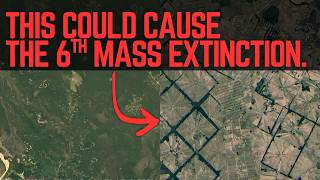 The Hidden Threat Driving Extinction: Habitat Fragmentation Explained