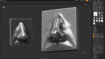 Zbrush Nose Modeling