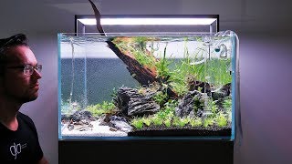 HOW TO set up a Beautiful Nature Aquarium Aquascape