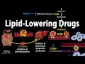 Pharmacology lipid lowering drugs animation