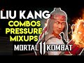 How to Play and Beat Liu Kang | ALL Variations MK11 Liu Kang Guide Combos, Pressure & Mix-Ups