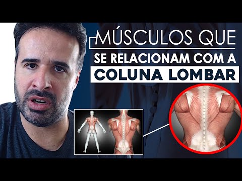 Vídeo: Músculos Das Costas - Estrutura, Função, Causas Da Dor, Fortalecimento