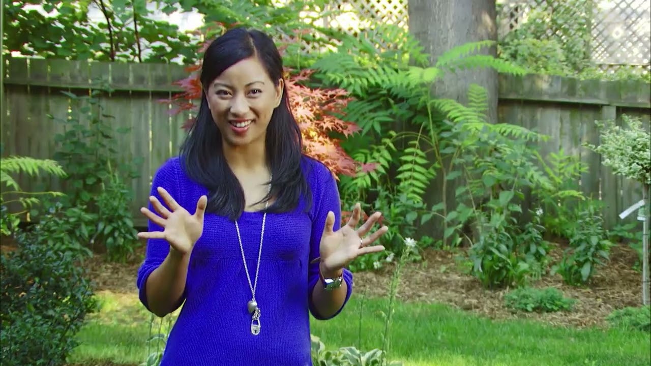 Marriage Under Construction S01E10 - "Curb Appeal" (Part 2)