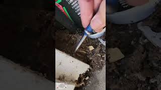 ASMR Tapping Pest Control Inspection.  #ASMR #CA #pestcontrol #tapping #inspection