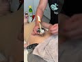How Much Will Come Out of Her Belly Button