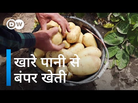 वीडियो: खारे पानी की कार क्या है?