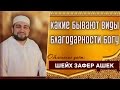 Какие бывают виды благодарности Богу? - шейх Зафер Ашек