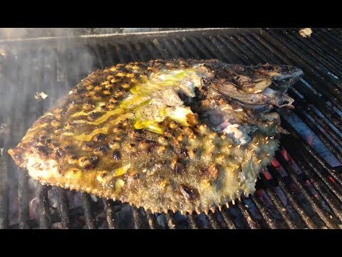 MUHTEŞEM DEV IZGARA KALKAN (En Sevimli Usta ile Kalkan Balığı -Marmara Balık)