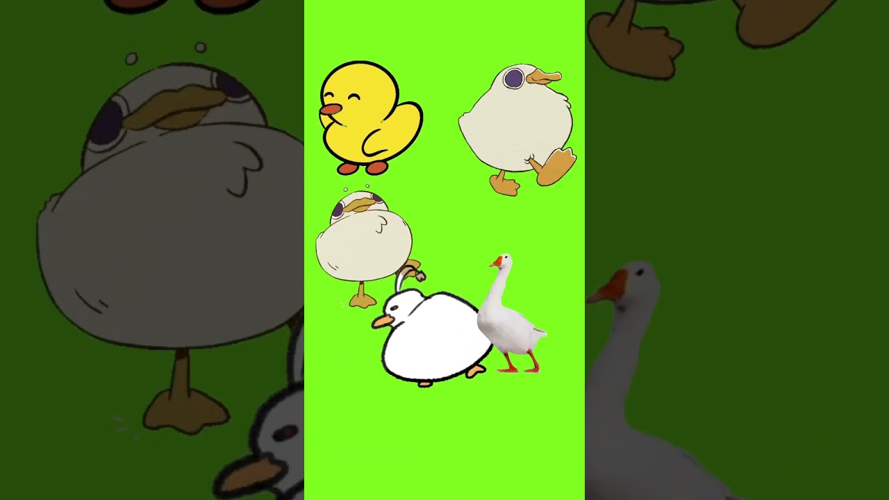 Duck duck twerking goose #pokemon #animalcrossing #animalcrossingnewhorizons #music #anime