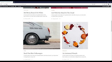 Molle - A Blog and Shop Theme - Free Setup