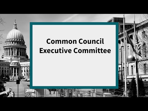 Common Council Executive Committee: Meeting of January 5, 2021