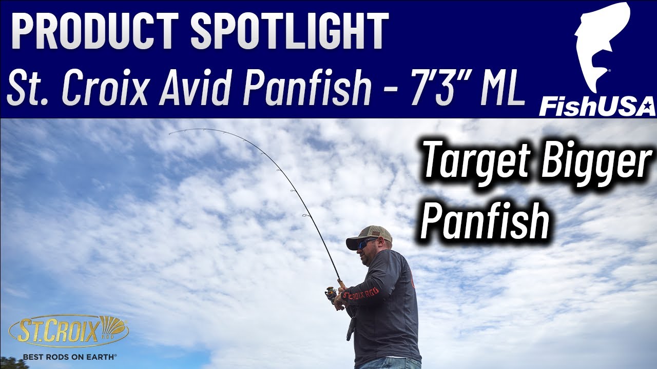 St. Croix Avid Series Panfish Spinning Rod - ASPS73MLXF - When To