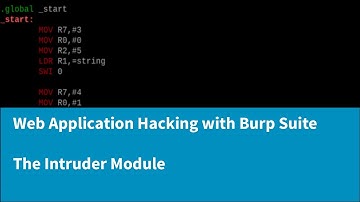 Web Application Hacking with Burp Suite - The Intruder Module