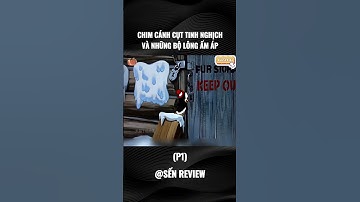 Chú chim cánh cụt tinh nghịch 🙈 (PHẦN 1) #senshorts #shorts