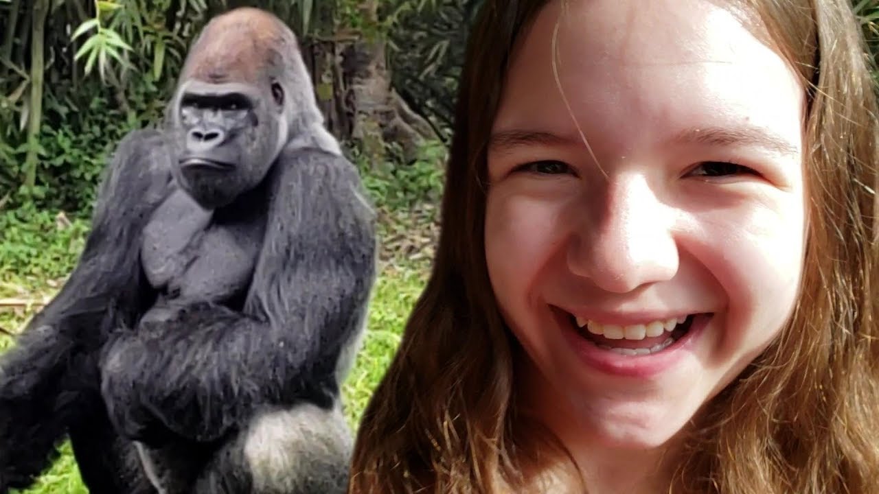 We Saw A Gorilla! Disney Kilmanjaro Safari Ride!