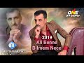 Ali Bene 
