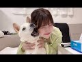 Ero Dog Ero Dog