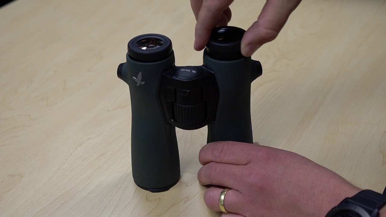 Bushnell 8 X 42 Binoculars Review