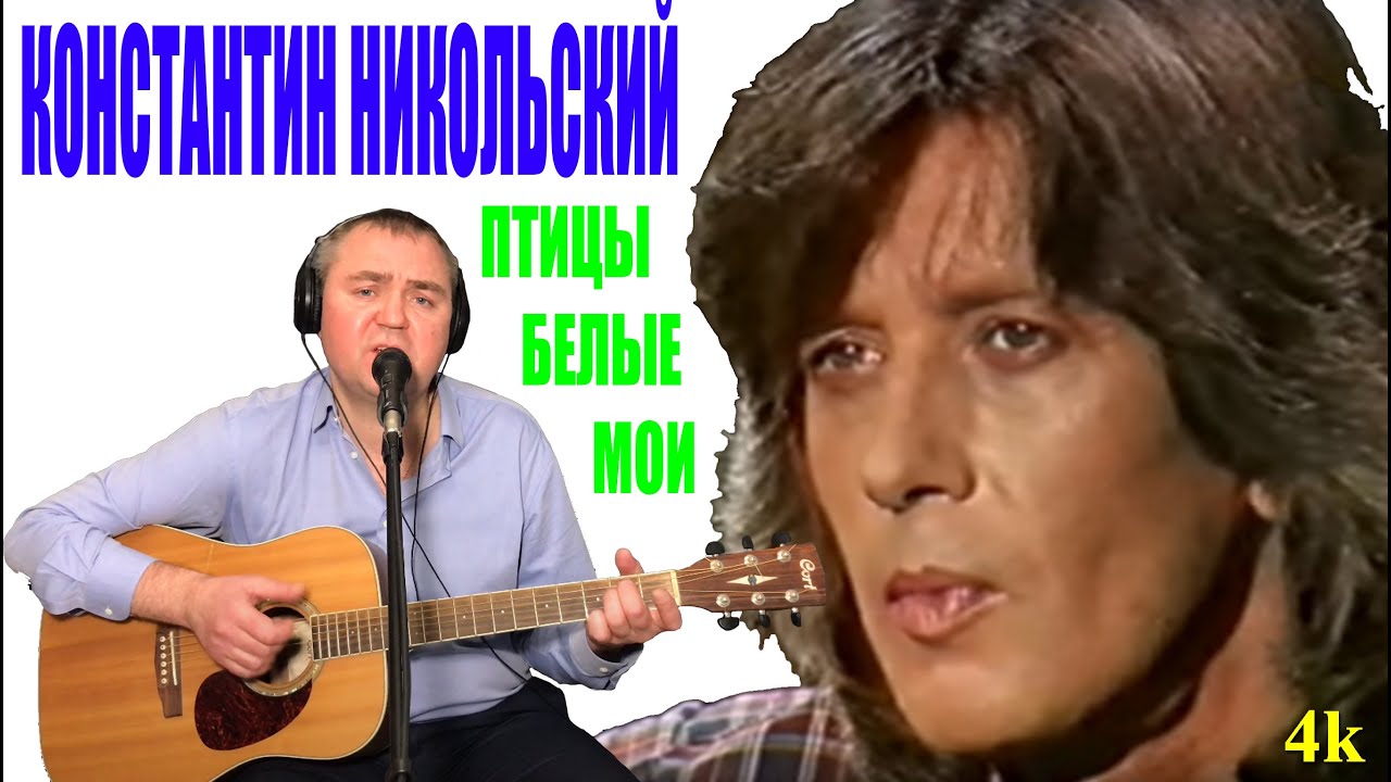 Птицы белые Мои Никольский. Никольский я птица слабая. Слушать никольского птицы белые