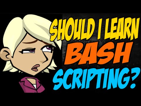 Should I Learn Bash Scripting?