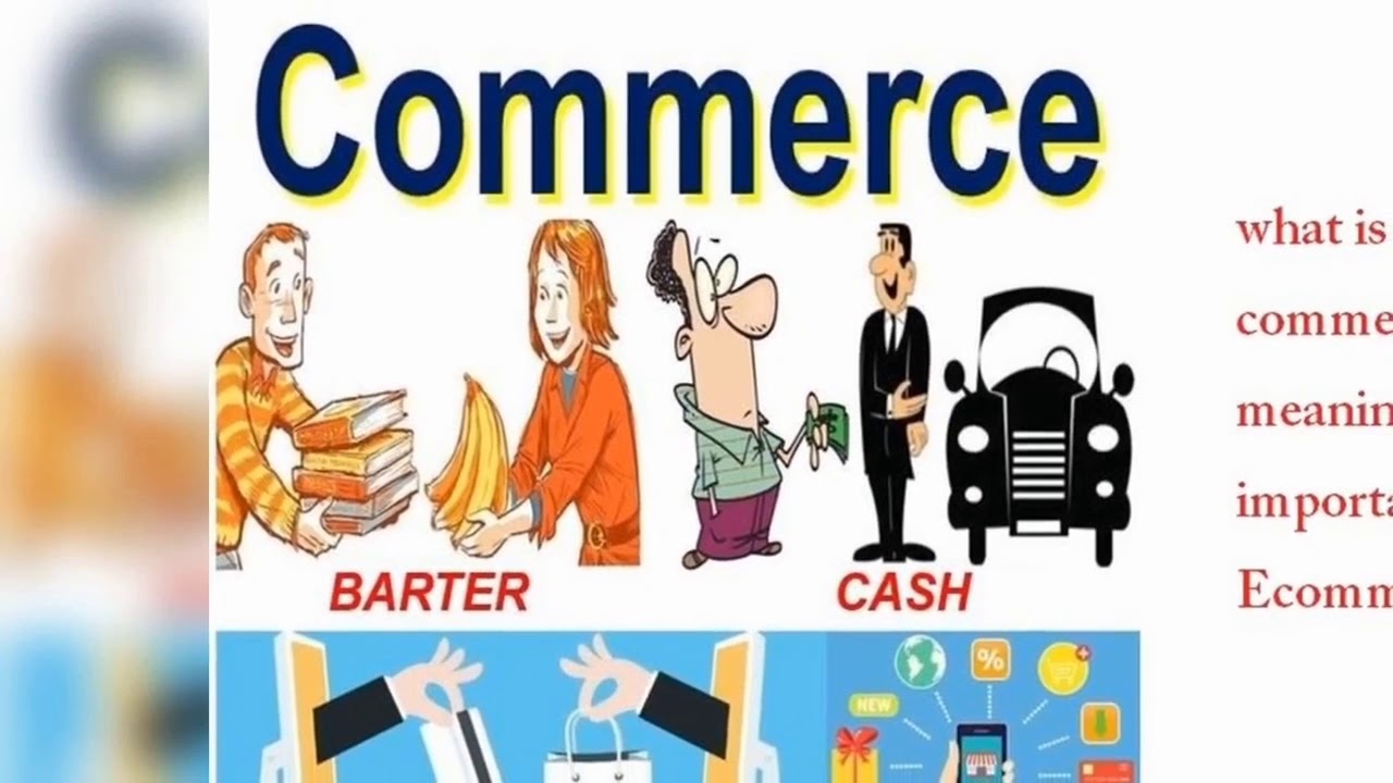 what is the meaning of assignment in commerce