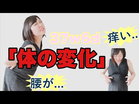 【悲報】予定日まで１５日／体が悲鳴を上げている／妊娠ドキュメンタリー