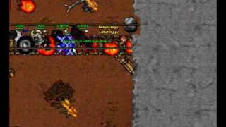 D.B World Gold on CKR guild