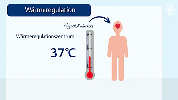 Was ist die ideale Temperatur für Menschen?