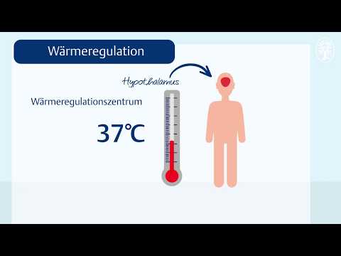 Video: Vorteile Beim Schwitzen: Über Die Regulierung Der Körpertemperatur Hinaus
