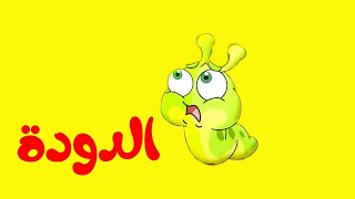 الدودة طيور بيبي  The Caterpillar  Toyor Baby