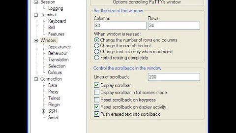 How to change the default font-size in PuTTY