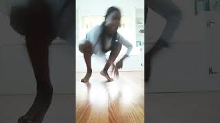 Just A Lynx Making A Video Stau Groovy