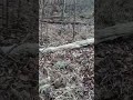 Rub line located at a large scrape