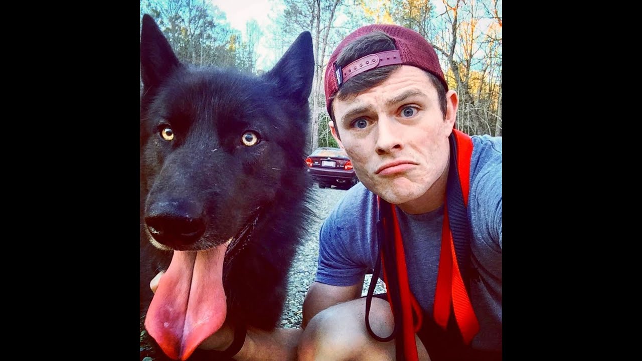 Alaskan Noble Companion Dog Documentary