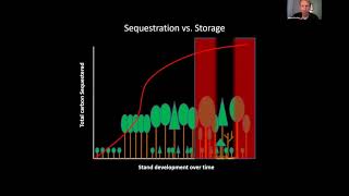 The Science of Carbon Forestry