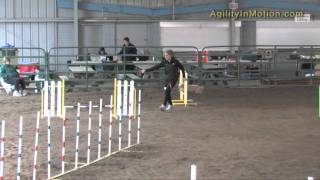 20110221-chachi-jww.mp4
