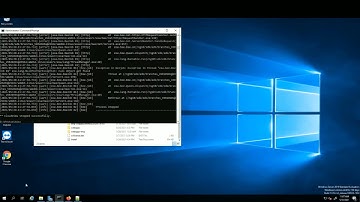 How To | Fixing Another Instance is Running Error on Windows Server | Exalead Cloudview