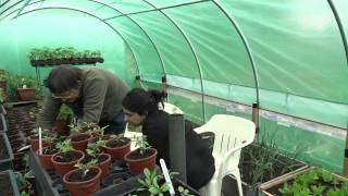 Julie's Allotment - Advice for newbies Ep. 1 - 17th May 2015