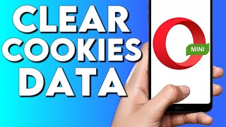 How To Clear Cookies and Data on Opera Mini Browser Phone App screenshot 4