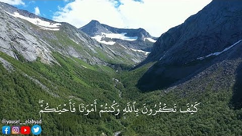 ﴿ كيف تكفرون بالله وكنتم أمواتاً فأحياكم ثم يميتكم ثم يحييكم  ﴾ سورة البقرة الآيه 28 / اسلام صبحي