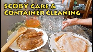 SCOBY Care & Container Cleaning | Brew Kombucha | DIY Kombucha