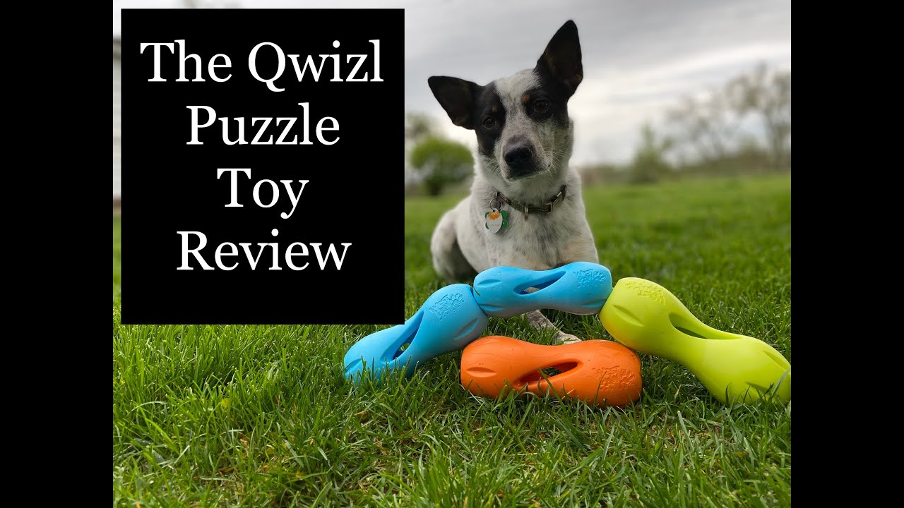 West Paw Small Qwizl Dog Toy