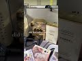 🔗 IN BIO #money #motion #reseller #reselling #motivation #shoes #wifimoney #rich #wealth #perfume