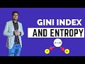 Gini Index and Entropy|Gini Index and Information gain in Decision Tree|Decision tree splitting rule