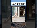 同時に閉まらないのねｗ... #面白い #shorts