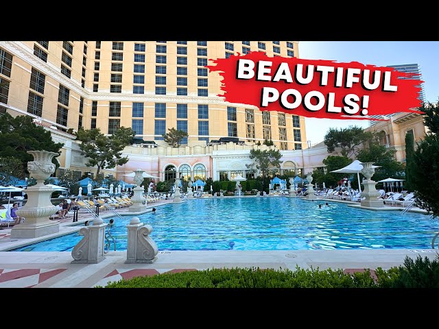 Pool At Bellagio Las Vegas 
