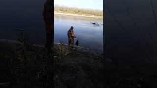Осень в Алтайском крае. Рыбалка река Чумыш.