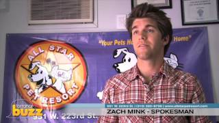 The Local Buzz 247 features - All Star Pet Resort - Torrance