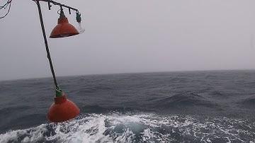 Cơn Mưa Đầu Mùa - Mùa Nam Tới Rồi |Câu Mực Biển Tây